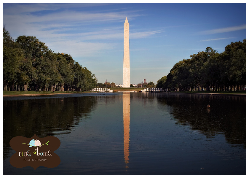 washington3
